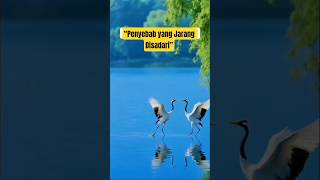 Download lagu “Kenapa Hati Bisa Jadi Keras? 10 Penyebab yang Sering Kita Lakukan Tanpa Sadar” mp3