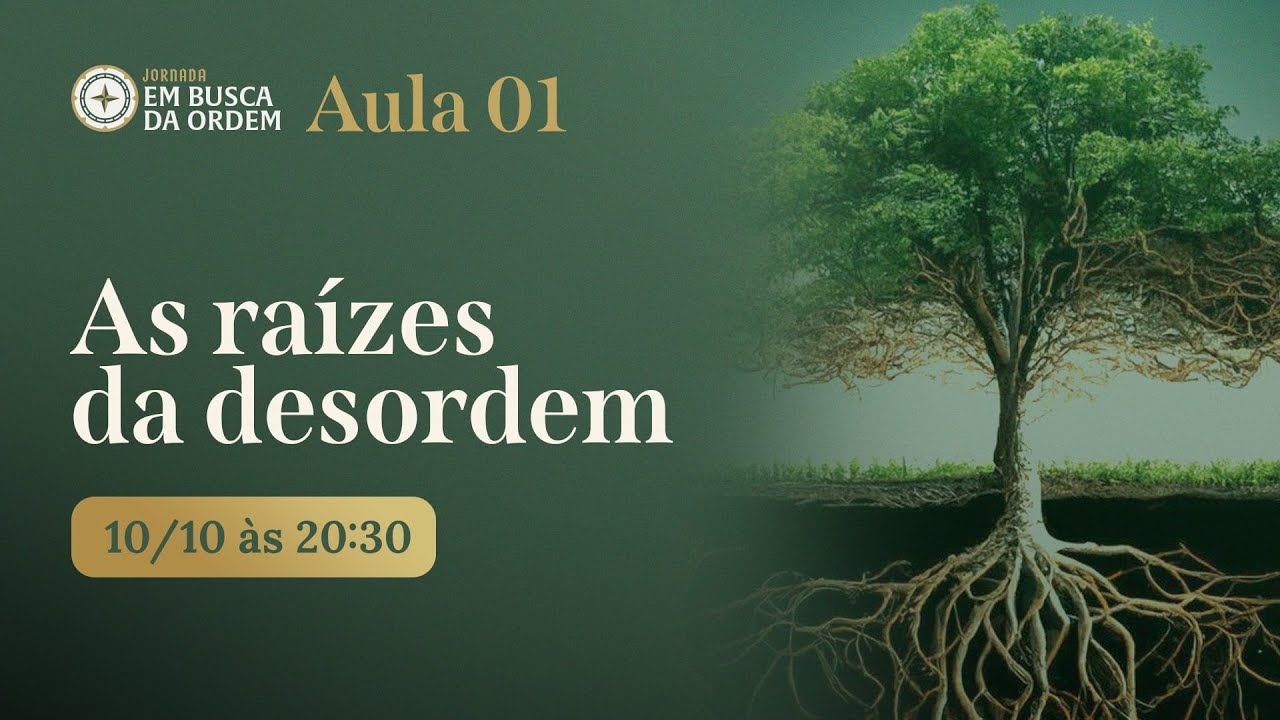 As raízes da desordem - como reconhecer as desordens que assolam sua vida (Em Busca da Ordem #01)
