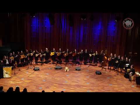 Color Esperanza: XXVI FE’TUFEISEP