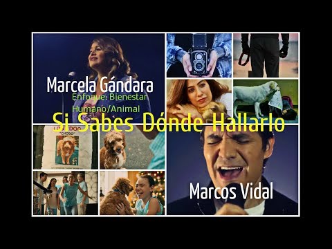 (Clip) Si Sabes Dónde Hallarlo II (Perdida Animal) Ft. Marcela Gándara/Marcos Vidal