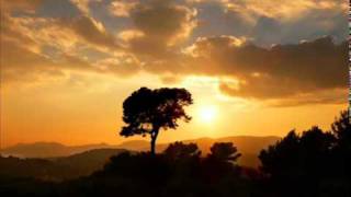 Moonwalker - Such A Shame (2002)