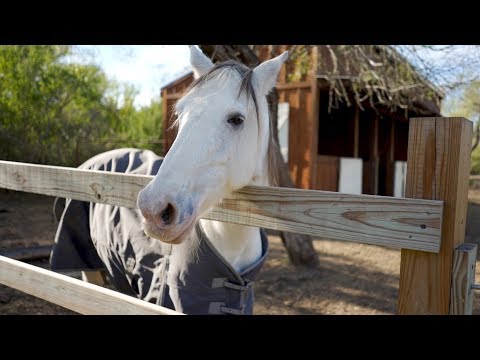 New barn for the farm - The Barndominium Show E193