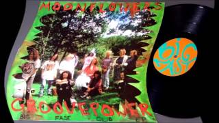 The Moonflowers - Groovepower Dub