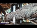 Kayu Tebangan Kebun Jati Kakek Sugiono Memang Super Begitu Keras Dan Tentunya Tahan Lama