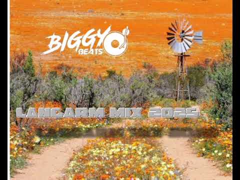 Biggybeats-Langarm Mix 2025
