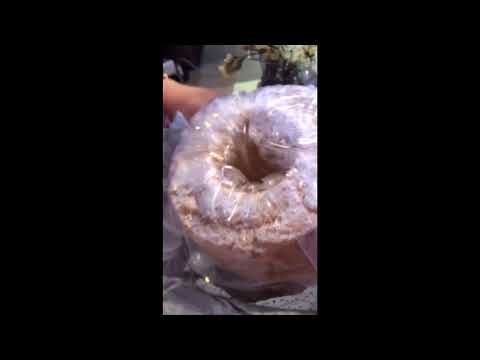 🛍PASTELERIA “GIL” (Salamanca)