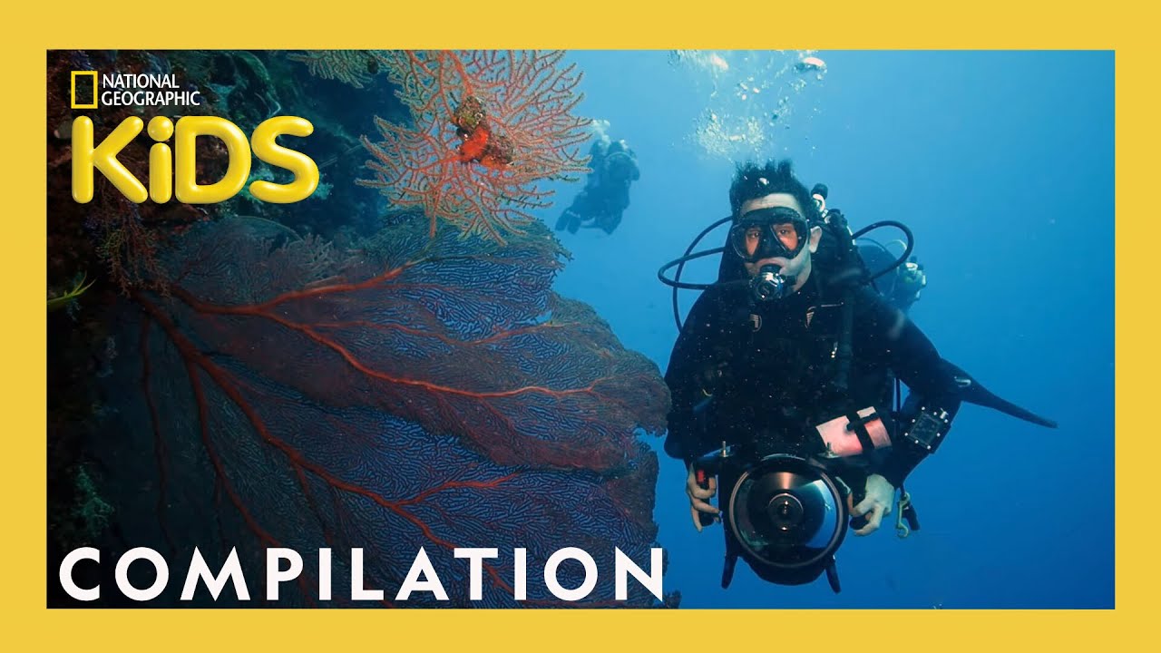 The BEST Jobs Ever! | Nat Geo Explorers | 25 Minute Compilation | @natgeokids