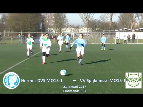 Samenvatting Hermes DVS MO15-1 -  Spijkensse MO15-1