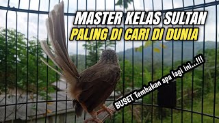 Download lagu CIGUN GACOR NGEBREN TAK TERKENDALI‼️ mp3