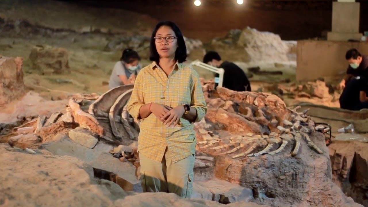 Phu Kum Khao Dinosaur Excavation Site