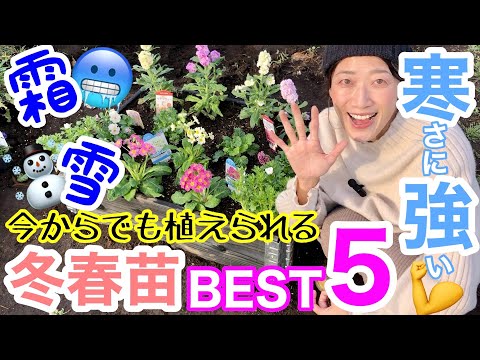 牛の糞、羊、鶏、馬、ウサギ、土壌、植物、庭を熱や霜から守る