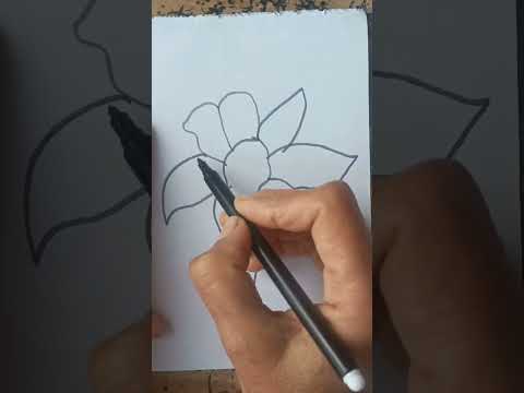 I Tried An Easy Flower Drawing Tutorial