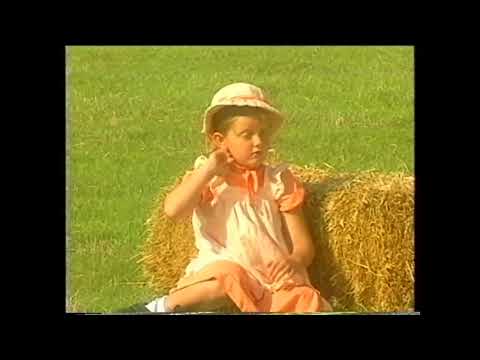 Little Bo Peep Has Lost Her Sheep