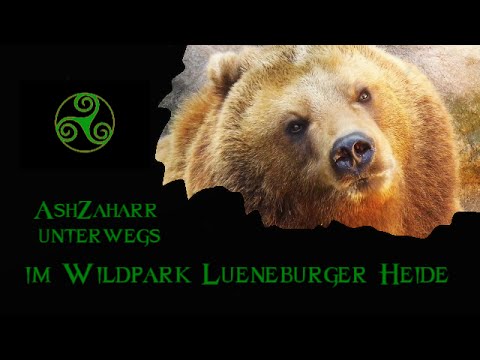 Unterwegs im Wildpark Lüneburger Heide