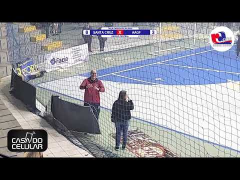 Santa Cruz Futsal x AAGF - Rádio Agudo