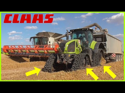 VELKÉ ŽNĚ PŠENICE 2019 | 5 kombajnů v nasazení | ZD Bohuňovice