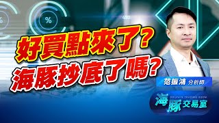 今天盤勢算是有恐慌感嗎? 海豚進場抄底了嗎? (圖)
