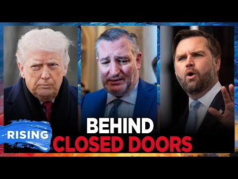 LEAKED AUDIO: Ted Cruz BASHES Trump Tariffs, JD Vance: Axios | RISING