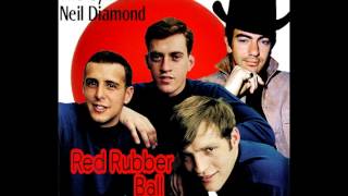 The Cyrkle &amp; Neil Diamond - Red Rubber Ball (MoolMix)