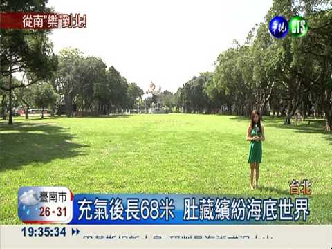 與黃色小鴨拚場! 抹香鯨游來台北