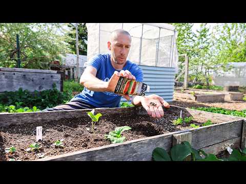 May Garden: 10 Must-Plant Crops for a Thriving Harvest