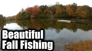 Fall Bass Fishing With Crankbaits In The Rain (Realistic Fall Fishing)