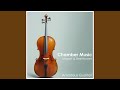Beethoven: String Quartet No. 14 in C Sharp Minor, Op. 131: VI. Adagio quasi un poco andante