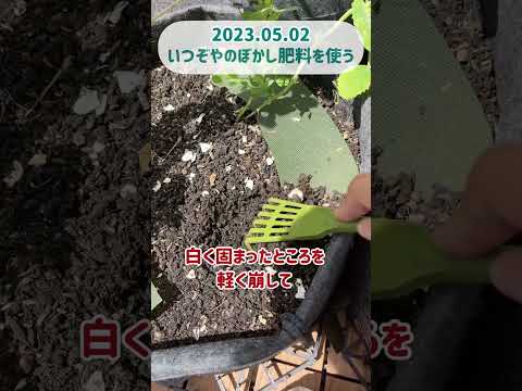 化学薬品を使わずに植物の成長を促進する、オレンジの皮から作られた天然肥料の 2 つのアイデア  庭園