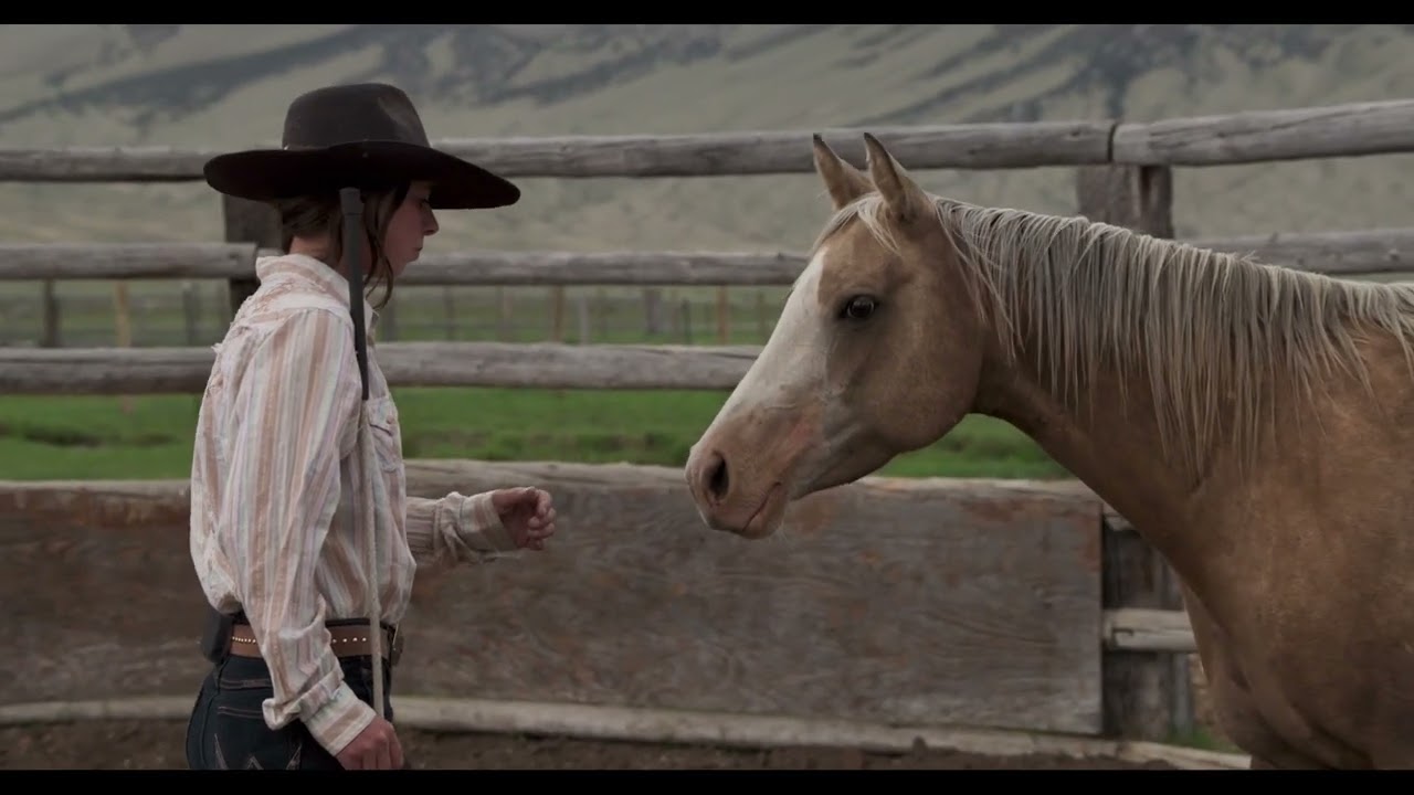 Trailer | Bitterbrush | Emelie Mahdavian