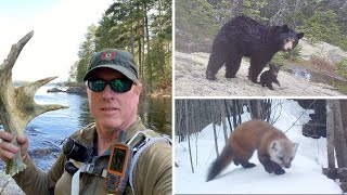 How to get the most out of your trail and game camera | BDN Events Online