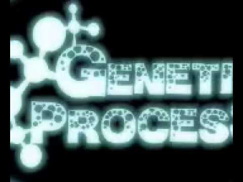 GENETIC PROCESS Back in Time