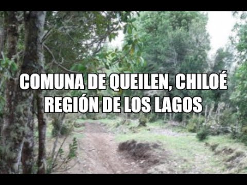 Comuna de QUEILEN, Región de los Lagos, Chiloé. 3,3 Há