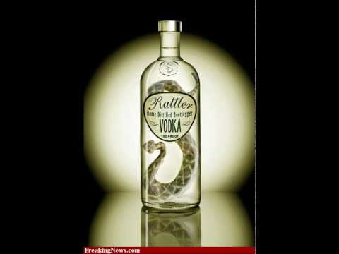 Rattle the Night (Bingo Players X Zedd X Hayley Williams)