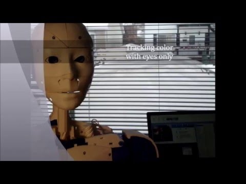 Inmoov Camera Tracking With Eyes, Head And Torso