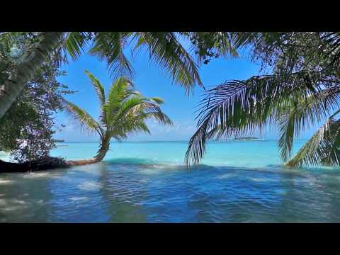 🌴 Ocean Ambience on a Tropical Island (Maldives) with Soothing Waves & Paradise View for Relaxation.