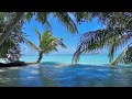 🌴 Ocean Ambience on a Tropical Island (Maldives) with Soothing Waves & Paradise View for Relaxation.