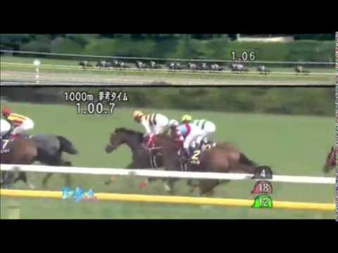 優駿牝馬　オークス2014