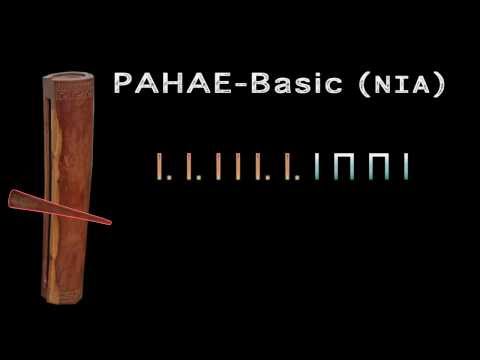 PAHAE Basic (NIA) with Tabs
