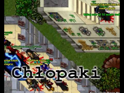 Tibia Berylia War - Bywa nie wąsko