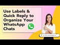 Using Labels & Quick Reply in WhatsApp Business App