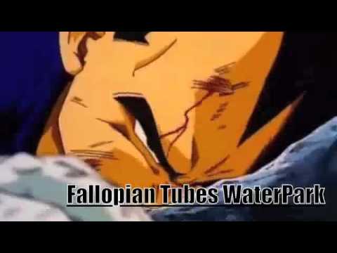 Fallopian Tubes WaterPark By NoEmotion Produced By EDK