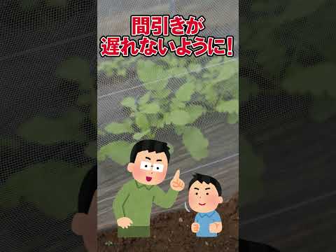 根菜の種まき時期: 根菜を逃さないように園芸家のカレンダーが示していること  庭園