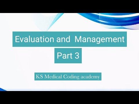 Evaluation and Management (E/M)  Services Guidelines 2023 | Part 3