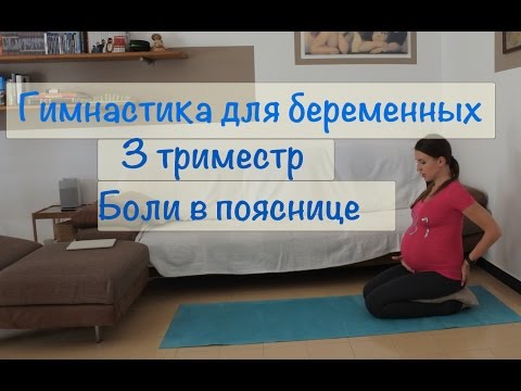 Доктор бубновский оздоровление позвоночника и суставов сайт Синоним коленного сустава
