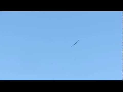 B2 bomber 2012 Fleet Week San Francisco Canon Powershot 230 HS 720p