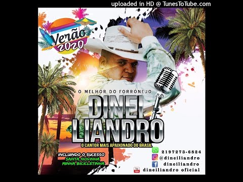 Dinei Liandro Verão 2020