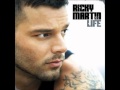 ricky martin ft fat joe i don t care 