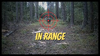 Deer Season Prep, Youth Hunt Tips, & Copperhead Close Calls