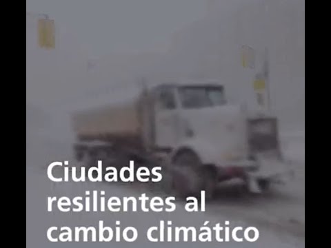 Vista previa del video