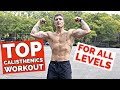 The Most OPTIMAL Calisthenic Training Plan | FULL BODY CALISTHENIC PROGRAM FOR ALL LEVELS